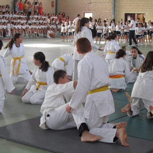 Exhibición de Judo